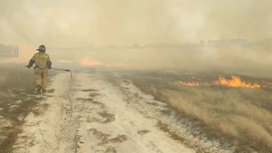 Сильный ветер и аномальное тепло осложняют тушение пожаров на Урале