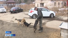 Эфир от 27.04.2023 (14:30)