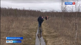 Костромских школьников отвели на болото и преподали им там "не урок"