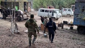 В Бурятии медведица защищала свое потомство