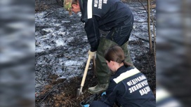 В Заволжском районе Ярославля обнаружен разлив нефтепродуктов