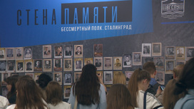 В вузах и колледжах Волгограда появились "Стены Памяти" с портретами фронтовиков