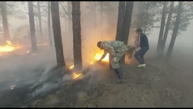 В Свердловской области природный пожар подошел вплотную к населенным пунктам