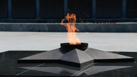 Альтера Парс