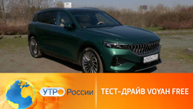 Современный электрокар Voyah Free