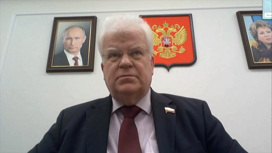 Безвизовая Грузия, выход России из ДОВСЕ и борьба с лесными пожарами