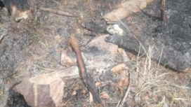 В Бурятии из-за костра рыбаков загорелся лес