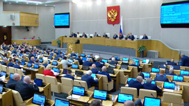 Депутаты заслушали отчет Татьяны Москальковой о работе за год