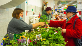 Большая ярмарка для садоводов и огородников пройдет в Томске в выходные