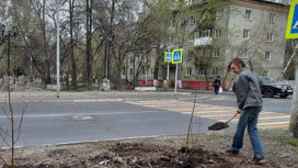 На улице Карташова в Томске высадили 11 лип