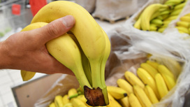 Бананы могут стать социально значимым продуктом в Российской Федерации