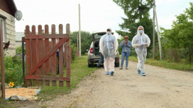 В Костромской области выявлено три случая гриппа птиц
