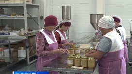 Грант на "сладкое золото Чувашии" превратил деревню в медовое царство