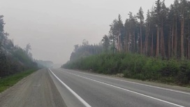 Регион тонет в густом смоге от десятков очагов возгораний