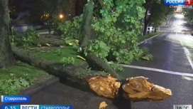 В Ставрополе убирают поваленные ветром деревья и восстанавливают электроснабжение