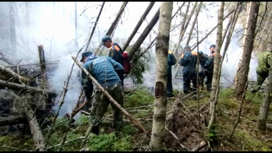 Костромские лесники ликвидирован очередной пожар в Парфеньевском районе