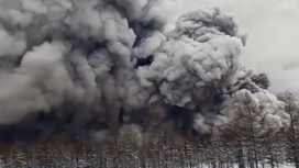 Пеплопад на Камчатке – масштабы природной катастрофы оценят ученые