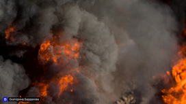 Два лесных пожара действуют сейчас на территории Томской области