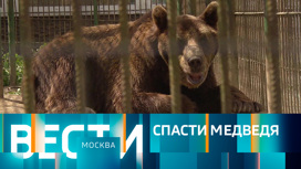 Эфир от 27.05.2023