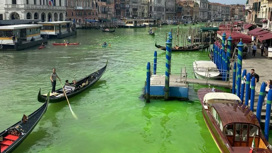 Вода Гранд-канала в Венеции стала зеленой