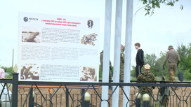 Останки более 30 человек найдены на месте бывшего нацистского концлагеря в Волгограде