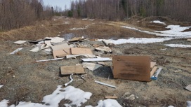Незаконную свалку стройматериалов обнаружили в лесу на Ямале