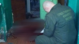 В Йошкар-Оле 48-летний мужчина избил и задушил своего гостя