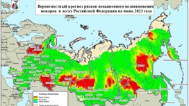 Оренбургская область попала в красную зону по лесным пожарам на федеральной карте июня
