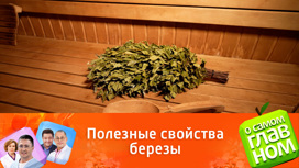 Березовые листья, кора, почки при различных заболеваниях