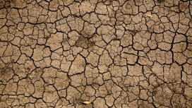 Режим ЧС могут ввести в Удмуртии из-за засухи