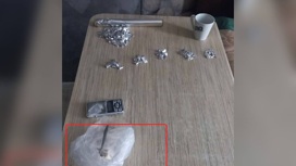 В Волжском задержаны подозреваемые в сбыте наркотиков