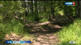 Всемирный день окружающей среды отмечается сегодня
