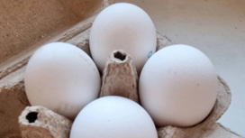 Яйцам неизвестного происхождения не дали попасть на амурские прилавки