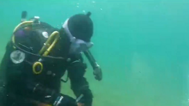 Подводный субботник: какие "трофеи" собрали дайверы со дна моря во Владивостоке