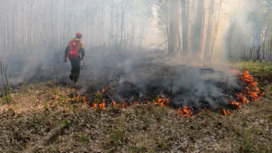 За выходные на Урале потушено восемь природных пожаров