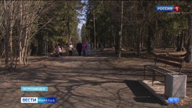 Лидером голосования по благоустройству стал парк "Беличий Остров" в Петрозаводске