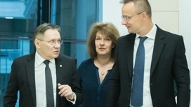 Венгрия призвала противников АЭС "Пакш-2" успокоиться