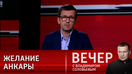 Стародубцев: Турция хочет превратиться из региональной в глобальную державу