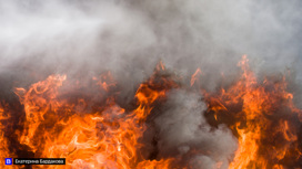 Тушить лесные пожары на севере Томской области помогут спасатели из других регионов