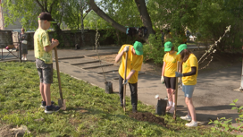 Первые деревья высадили в Иркутске по проекту "Молодежь за чистый город"