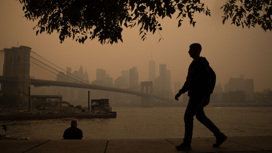 Канадский дым превратил воздух Нью-Йорка в яд