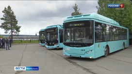Долгожданная транспортная реформа стартует в Петрозаводске на следующей неделе