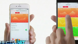 iPhone 6 вышел в двух версиях