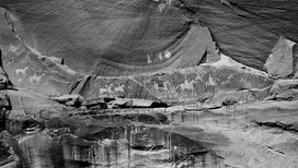 Одна из ста фотографий, которые были отобраны, чтобы оставить свидетельство о современном нам мире 