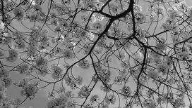 Одна из ста фотографий, которые были отобраны, чтобы оставить свидетельство о современном нам мире 