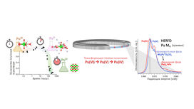    (IV)   (VI)         (V).