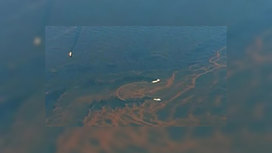 Новый купол поможет остановить утечку нефти