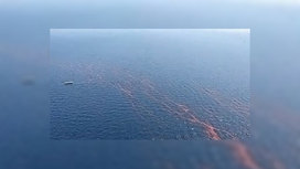 Прямые затраты BP уже превышают 450 миллионов долларов