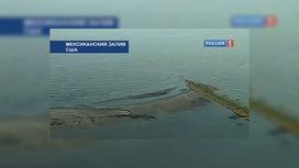 он должен накрыть катастрофу, заткнув нефтяной фонтан