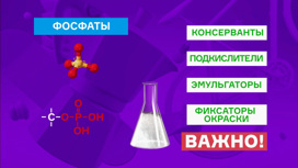 Кадр из программы "Всероссийский потребительский проект "Тест". Треска